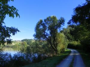 Zdravilni park Sveta Trojica 11